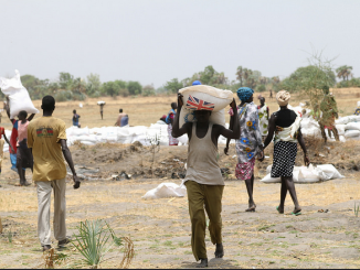 Sudán del Sur, hambruna