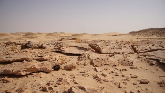 Sequía Somalia