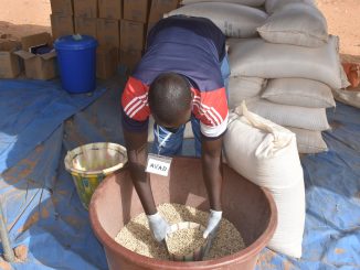 Inseguridad Alimentaria Burkina Faso