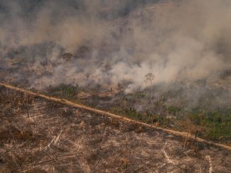 Amazonia en llamas
