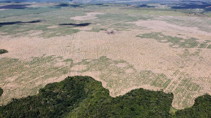Deforestación Brasil Amazonía