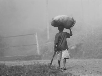 trabajo infantil agricultura Africa
